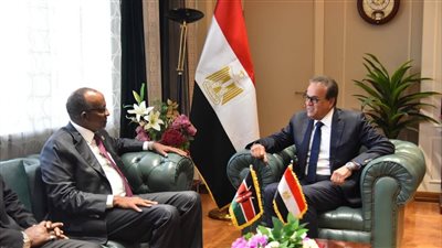 وزير الصحة يستقبل نظيره الكيني    