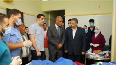 إصابة رئيسة قرية بكفر الشيخ    