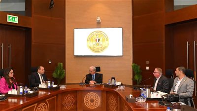 نائب رئيس الوزراء     