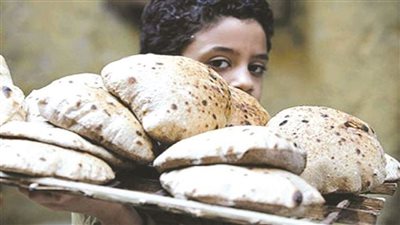 الدعم النقدي.. رغيف الخبز     