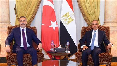 وزير الخارجية يلتقي نظيره التركي    