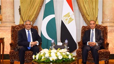 وزير الخارجية يستقبل نائب رئيس الوزراء ووزير خارجية باكستان    