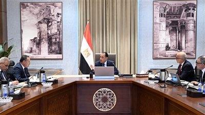 جانب من اجتماع رئيس الوزراء    