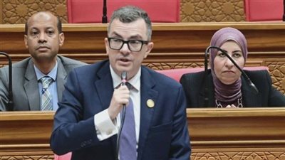 أحمد رستم وزير التخطيط     