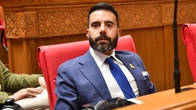 النائب إسلام قرطام    