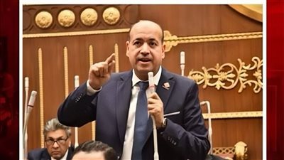 النائب أحمد سيد    