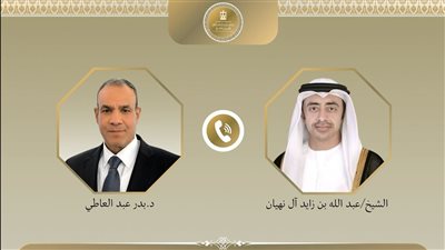 وزيرا خارجية مصر والإمارات    