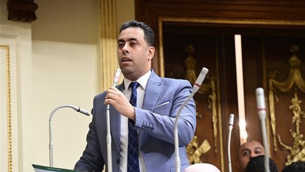 النائب أحمد فرغلي    