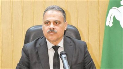 المهندس حازم الأشموني محافظ الشرقية    