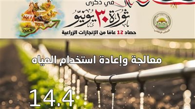 ثورة 30 يونيو     