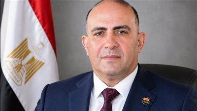 النائب محمد سليم    