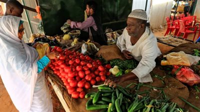انعدام الأمن الغذائي في السودان    