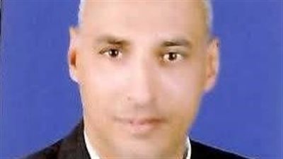 المستشار محمود أبو الدهب    