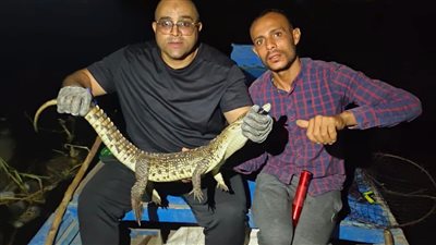تمساح بعد اصطياده    
