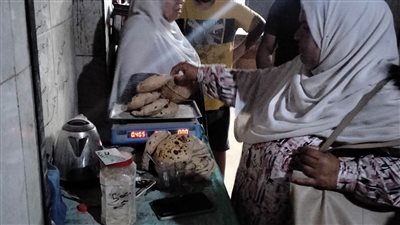 جانب من الحملة     