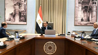 رئيس الوزراء يتابع مع وزير المالية عددًا من ملفات العمل    