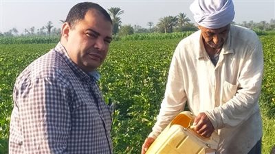زراعة الفيوم     