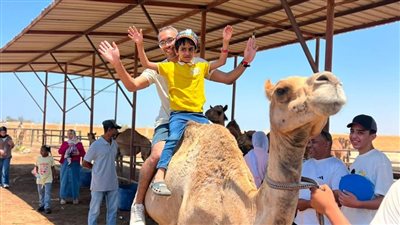 أنشطة بحوث الصحراء     