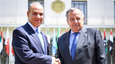 وزير الخارجية يلتقي نبيل فهمي    