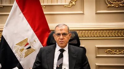  المستشار ربيع لبنة رئيس محكمة النقض ومجلس القضاء الأعلى    