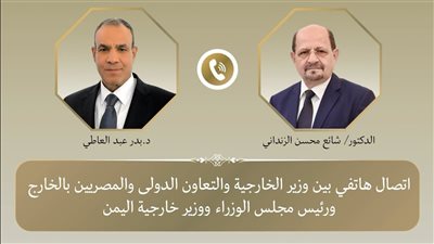 وزيرا خارجية مصر واليمن    