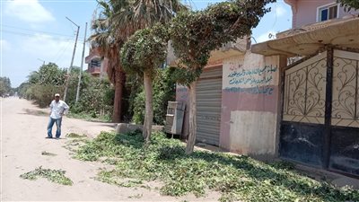جانب من المبادرة     