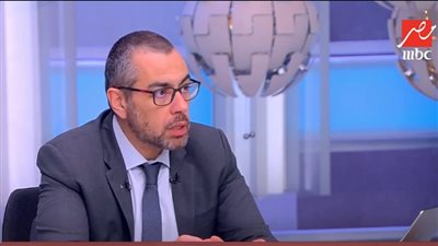 الخبير الاقتصادي محمد فؤاد    
