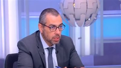 الدكتور محمد فؤاد الخبير الاقتصادي وعضو مجلس النواب    