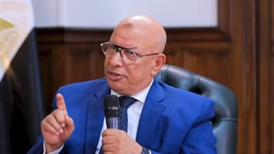 المهندس مصطفى الشيمي    