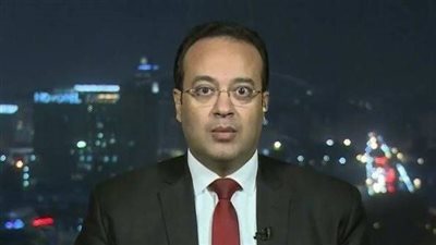 الدكتور حامد فارس أستاذ العلاقات الدولية    