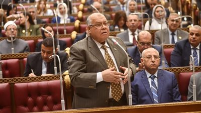 النائب ناجي الشهابي     