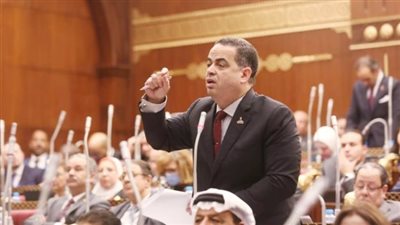 النائب عصام هلال    