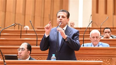 النائب محمود سامي     