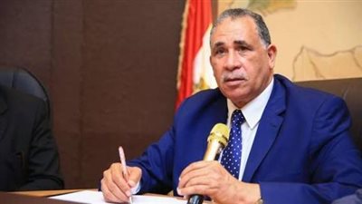 نقيب المحامين عبد الحليم علام    