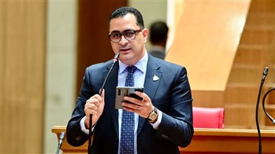 النائب محمود طاهر     
