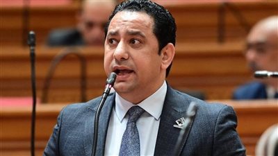 الدكتور حسام خليل عضو مجلس النواب    