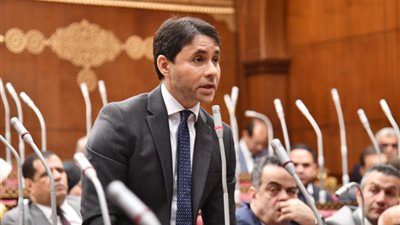النائب محمد مظلوم    