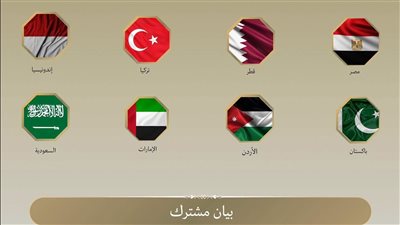 الدول المشاركة في البيان المشترك    