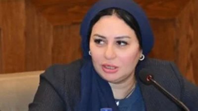 النائبة شيرين صبري    