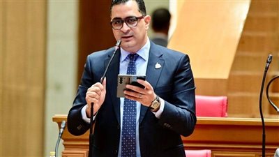 النائب محمود طاهر    