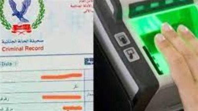الفيش الجنائي     