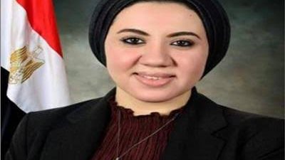 النائبة أميرة صابر    