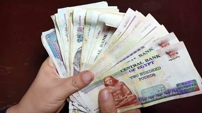 معاشات شهر أغسطس 2026    