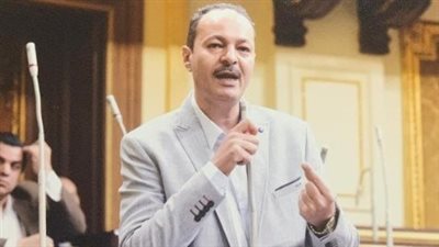 النائب حسين غيته    