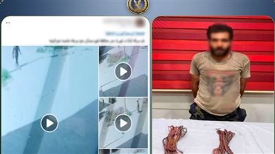 كشف ملابسات سرقة كابلات الكهرباء    
