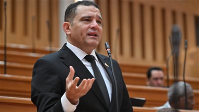 النائب أمير الجزار     