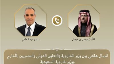 وزيرا خارجية مصر والسعودية    