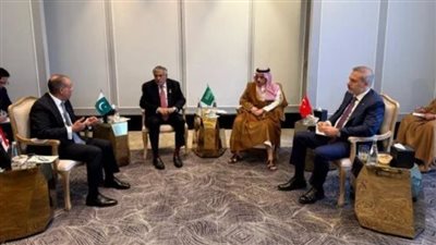 صورة من اللقاء    
