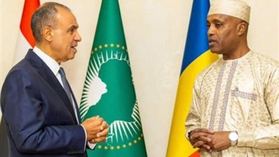 وزير الخارجية يلتقى نظيره التشادى    
