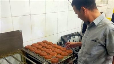 حملات تموين الفيوم    